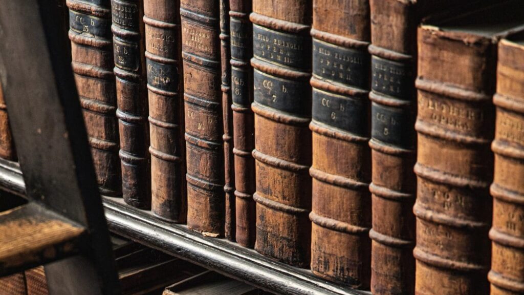 zach-plank-Vpz_i_tpPiM-unsplash