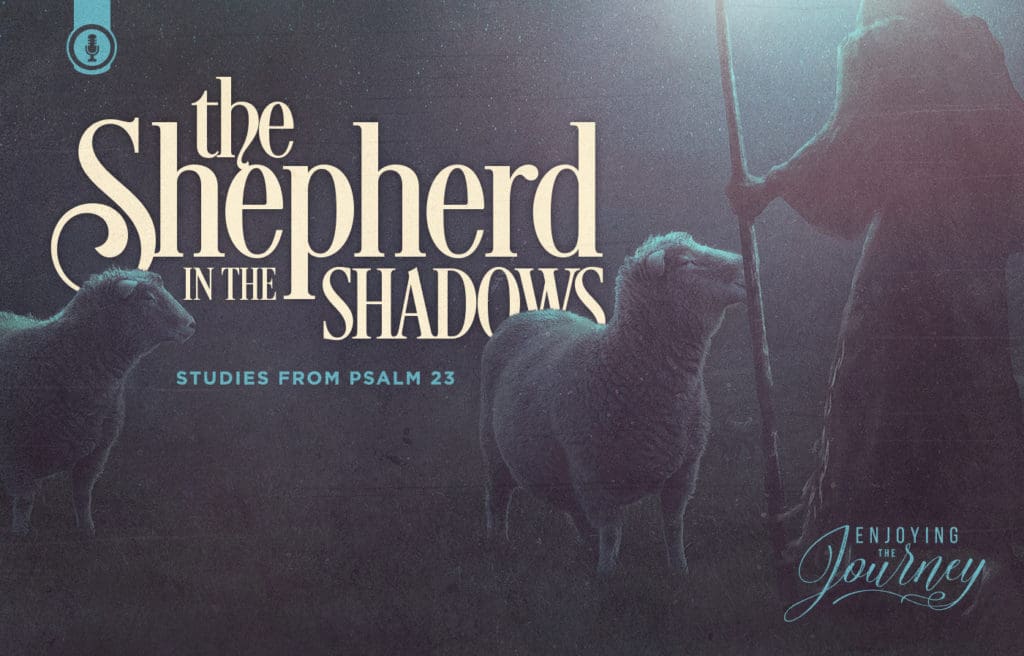 The Shepherd in the Shadows