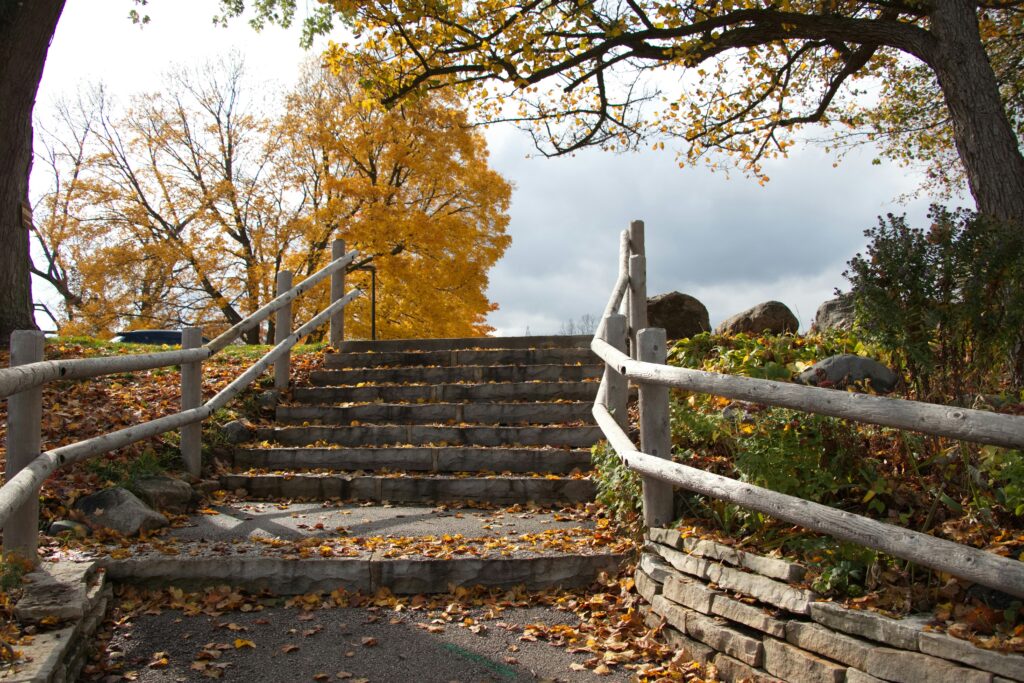 Steps are simple things. You likely take thousands of them a day. The idea of a step being a symbol of great accomplishment is quite common. “That’s one small step for man; one giant leap for mankind” (Neil Armstrong).