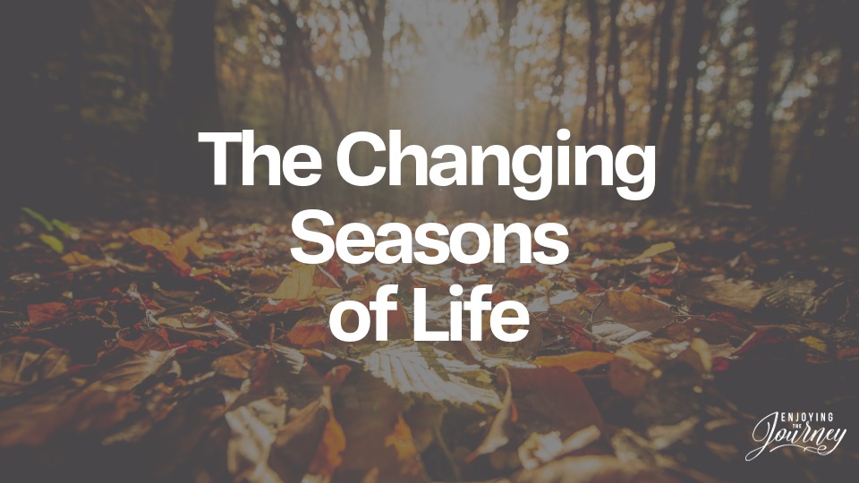 TheChangingSeason