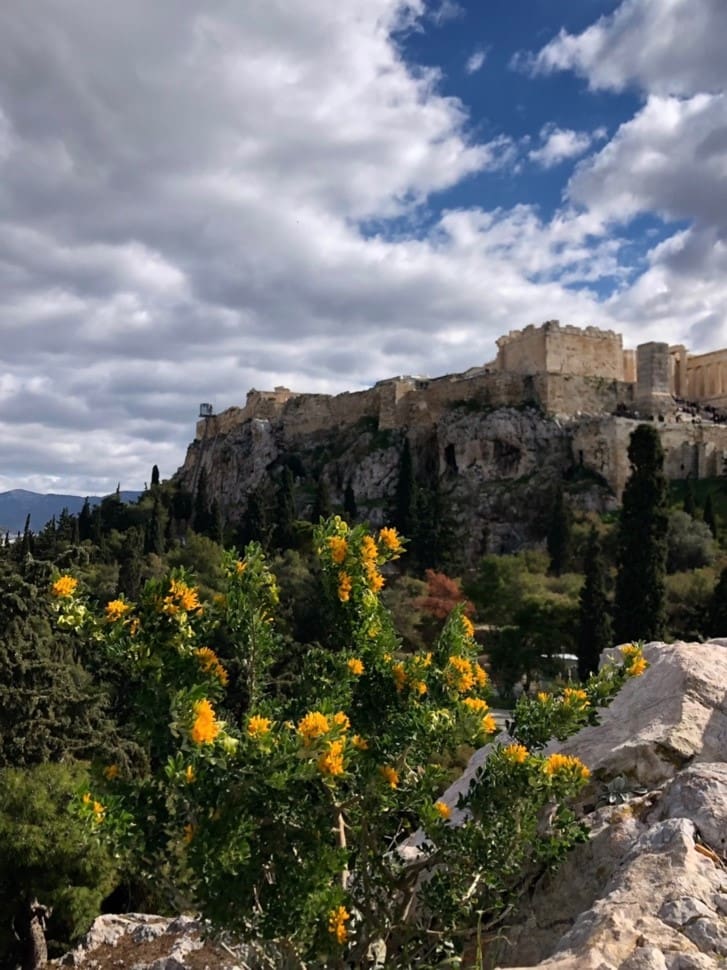 The Parthenon in Athens as viewed from Mars' Hill, also called the Areopagus. It is a small hill just below the famous temple complex on the Acropolis.
Photo by John Buckner