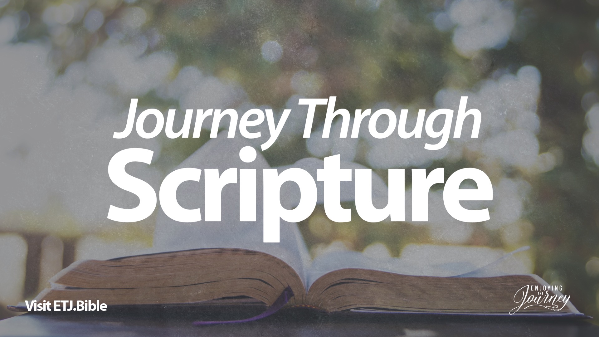 Bible study. Tools to journey through the Scriptures, journey through the Bible. Learn how to study through he Bible. Books of the Bible overviews for Bible study. Help understanding each book of the Bible.