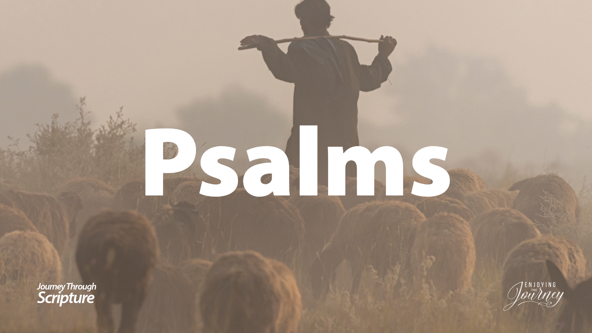 An image of a shepherd standing in a field surrounded by sheep, with the title 'Psalms' in the center. This page links to a page filled with study resources for the Bible book of Psalms