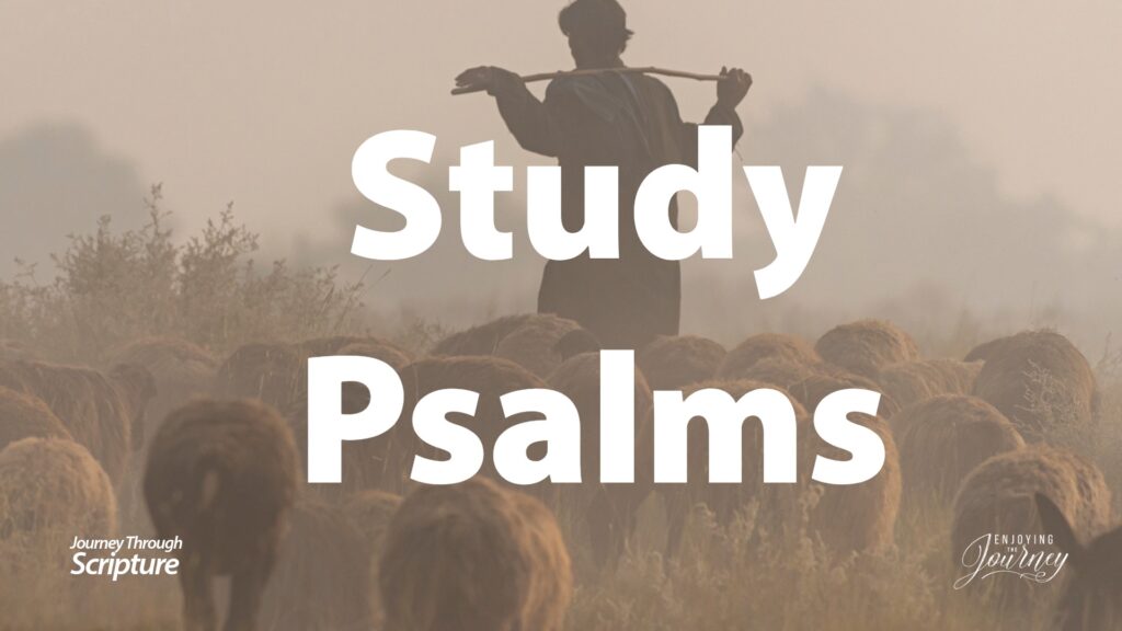 An image of a shepherd standing in a field surrounded by sheep, with the title 'Psalms' in the center. This image leads to a page that has audio/podcast, writeen nad video study resources for a student of the Bibe to study the Book of Psalms in the Bible.