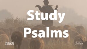 An image of a shepherd standing in a field surrounded by sheep, with the title 'Psalms' in the center. This image leads to a page that has audio/podcast, writeen nad video study resources for a student of the Bibe to study the Book of Psalms in the Bible.