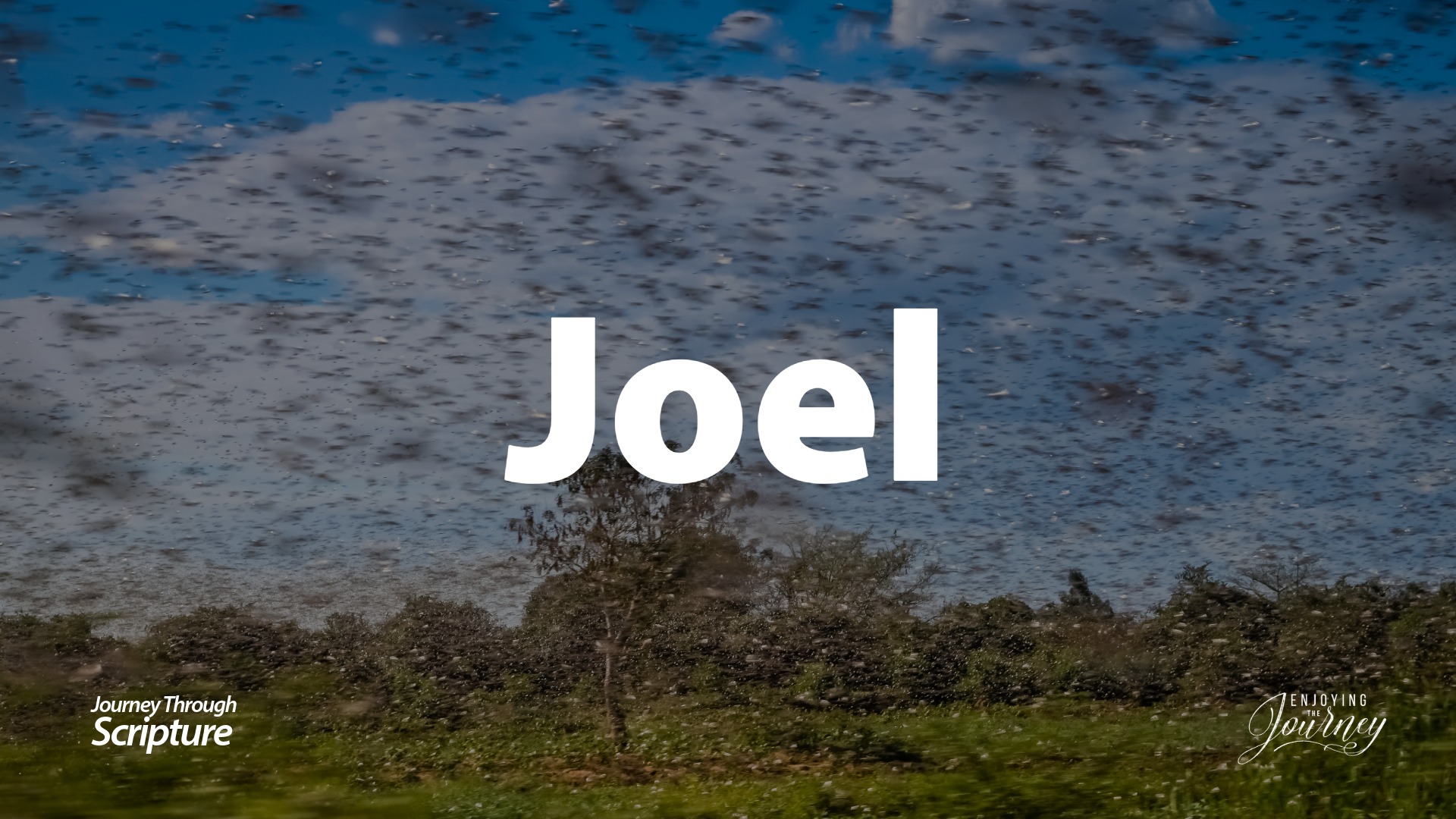 Joel-Slides