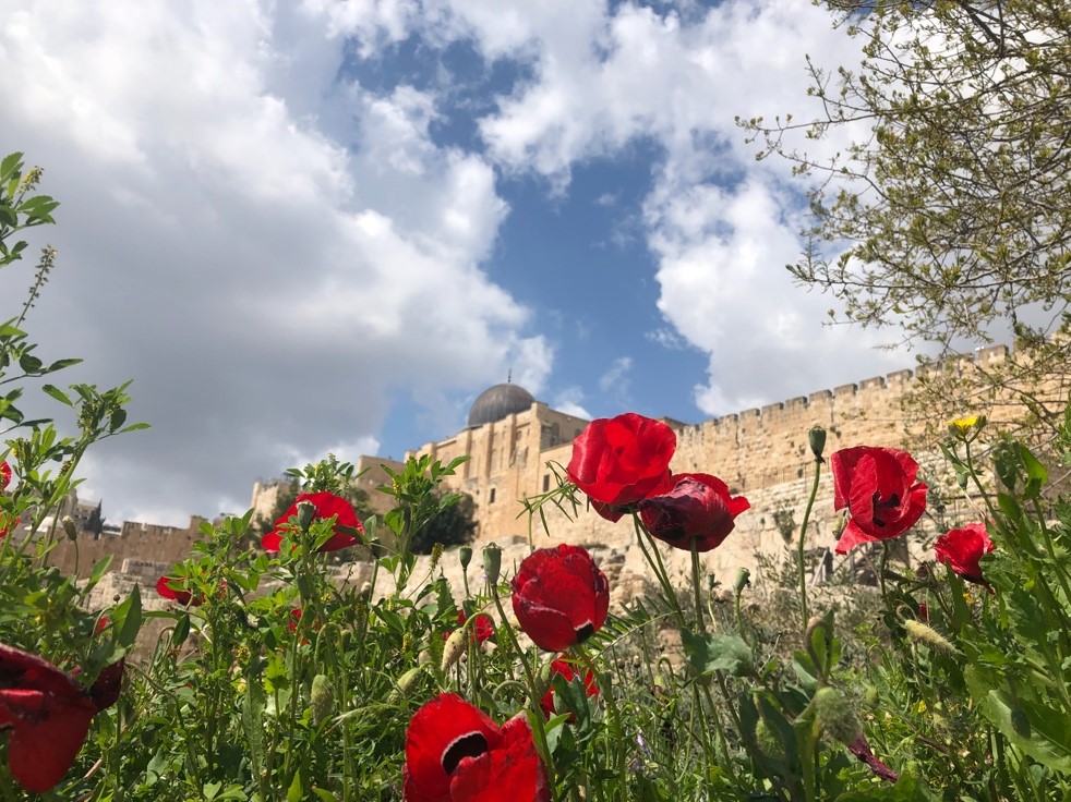 “The voice said, Cry. And he said, What shall I cry? All flesh is grass, and all the goodliness thereof is as the flower of the field: The grass withereth, the flower fadeth: because the spirit of the Lord bloweth upon it: surely the people is grass. The grass withereth, the flower fadeth: but the word of our God shall stand for ever.” Isaiah 40:6-8