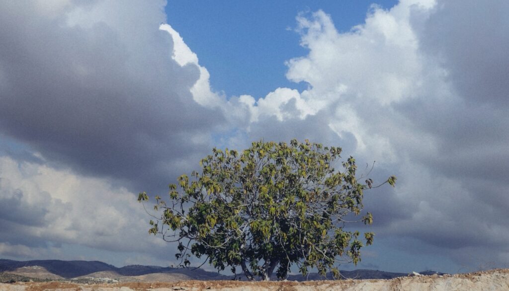 “Jesus saw Nathanael coming to him, and saith of him, Behold an Israelite indeed, in whom is no guile! Nathanael saith unto him, Whence knowest thou me? Jesus answered and said unto him, Before that Philip called thee, when thou wast under the fig tree, I saw thee.” (John 1:47-48)