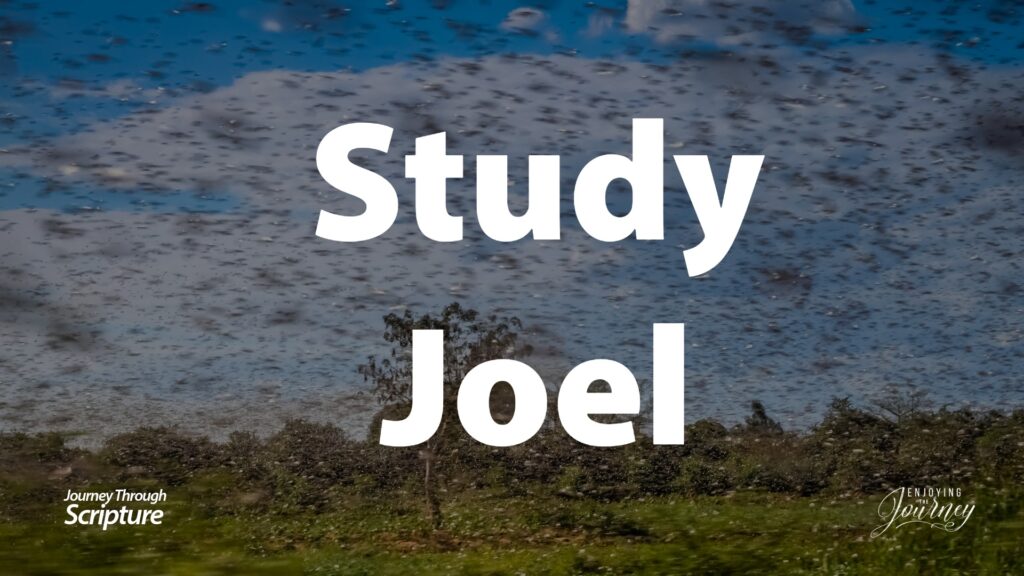 Study-Joel