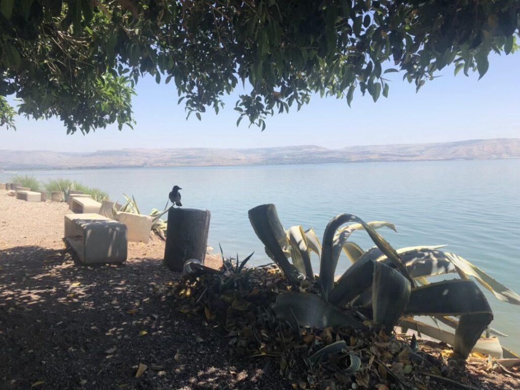 The Sea of Galilee viewed from the ancient fishing town of Capernaum. Capernaum is also home to an ancient synagogue that may date to the time of Jesus. Photo by John Buckner