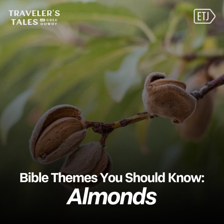Almonds and the Promises of God