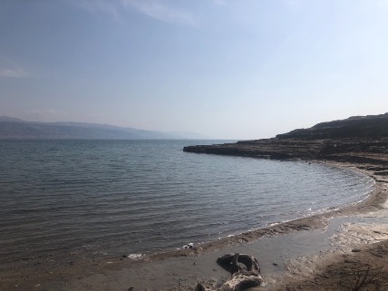 The international border between Israel and Jordan is in the middle of the Dead Sea. Both countries have a small naval contingent that patrols here. Occasionally you can find balls of tar that have washed up on the shore. The largest one I have found was about the size of a house cat. Photo by John Buckner  