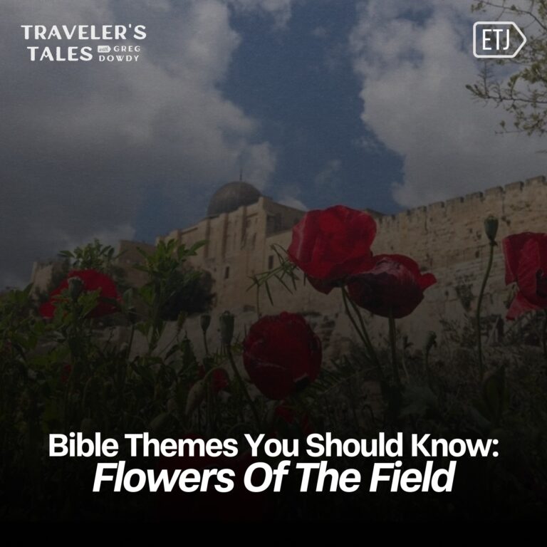 Fragile Flowers and Eternal Words