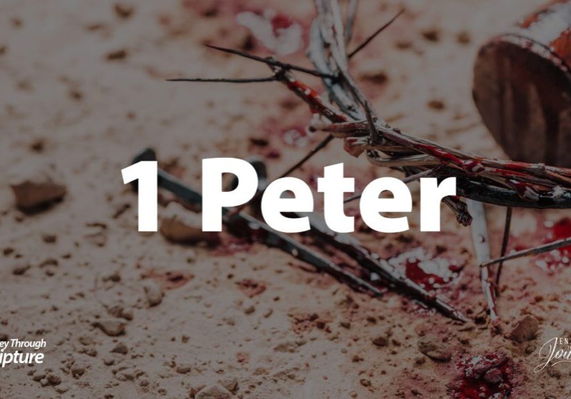 A journey through 1 Peter shows that in trials there is triumph. We should follow in the steps of the suffering Savior, Jesus Christ. This image depicts suffering and is related to an article that overviews the book of 1 Peter in the Bible.