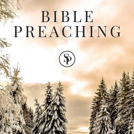 1712-07-Bible-Preaching-Banner-533x1024