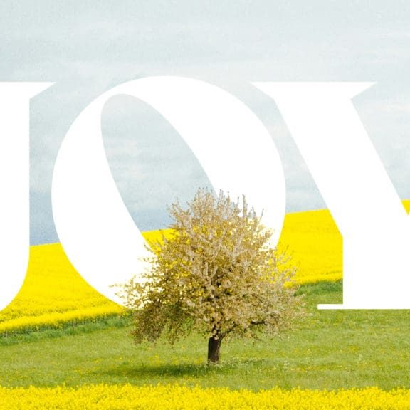 Mile Marker, Joy in the Bible, Joy, Happiness, Joy in Scripture, how to have Joy, Jesus brings joy