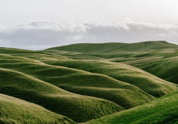 2CAA6CB3-3F92-4417-B398-93AC3B316F9D-768x512