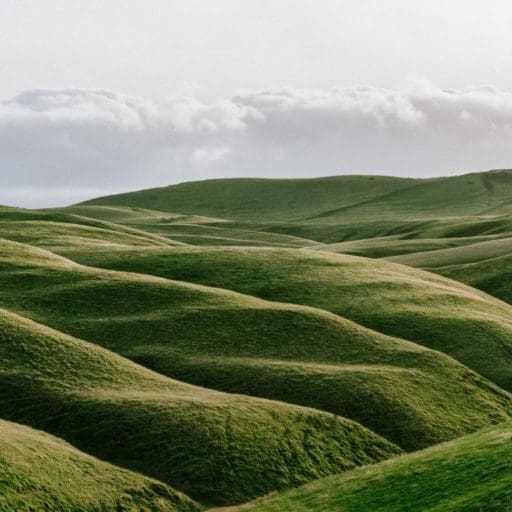 2CAA6CB3-3F92-4417-B398-93AC3B316F9D-768x512