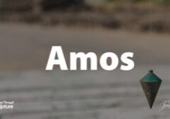 A journey through Amos will teach us to measure ourselves not by someone else or our judgment, but by the infallible Word of God.