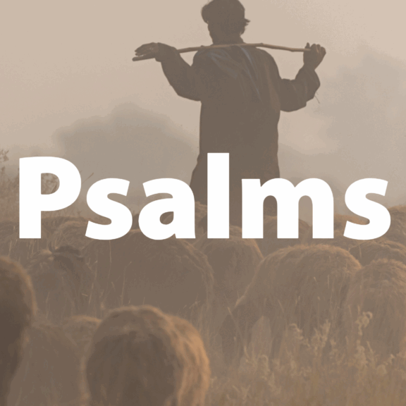 An image of a shepherd standing in a field surrounded by sheep, with the title 'Psalms' in the center. This page links to a page filled with study resources for the Bible book of Psalms
