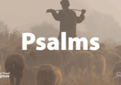 An image of a shepherd standing in a field surrounded by sheep, with the title 'Psalms' in the center. This page links to a page filled with study resources for the Bible book of Psalms