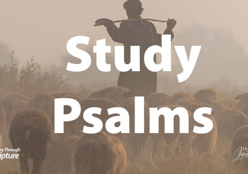 An image of a shepherd standing in a field surrounded by sheep, with the title 'Psalms' in the center. This image leads to a page that has audio/podcast, writeen nad video study resources for a student of the Bibe to study the Book of Psalms in the Bible.