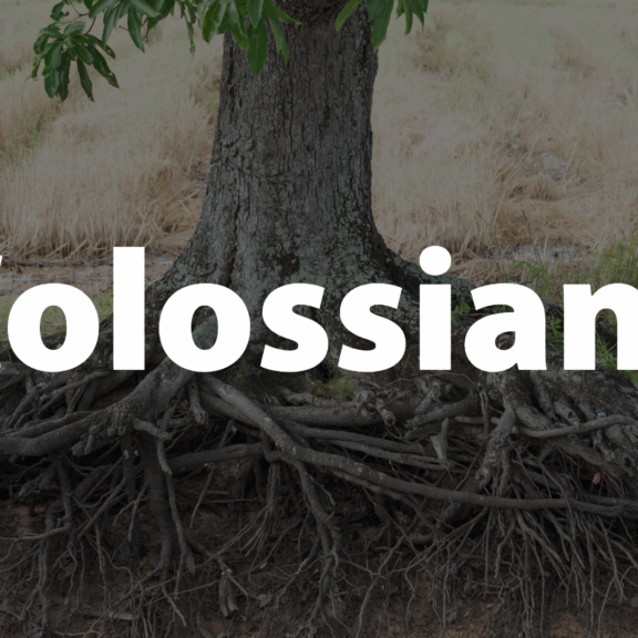 A journey through Colossians reveals the preeminence of Christ and the importance of combatting error with truth. Overview of Colossians by Dr. Scott Pauley
