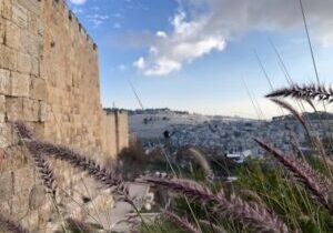 The Dung Gate was, and is even today, the primary entrance into the Temple Mount comples. In Nehemiah’s day, the Israelites would have entered here to worship God. In the following chapter, they stood in the Temple precincts to hear the holy teachings of God read aloud.  Part of the walk down toward the Dung Gate from Mount Zion. In the foreground is the Mount of Olives and the traditional spot where Jesus ascended into Heaven. Photo by John Buckner