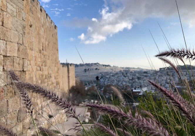 The Dung Gate was, and is even today, the primary entrance into the Temple Mount comples. In Nehemiah’s day, the Israelites would have entered here to worship God. In the following chapter, they stood in the Temple precincts to hear the holy teachings of God read aloud.  Part of the walk down toward the Dung Gate from Mount Zion. In the foreground is the Mount of Olives and the traditional spot where Jesus ascended into Heaven. Photo by John Buckner