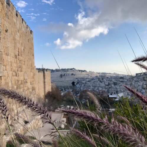 The Dung Gate was, and is even today, the primary entrance into the Temple Mount comples. In Nehemiah’s day, the Israelites would have entered here to worship God. In the following chapter, they stood in the Temple precincts to hear the holy teachings of God read aloud.  Part of the walk down toward the Dung Gate from Mount Zion. In the foreground is the Mount of Olives and the traditional spot where Jesus ascended into Heaven. Photo by John Buckner