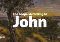 Eight Great “I AM” Statements of the Gospel According to John, Gospel According to Joh, John was a close disciple of Christ during our Lord's earthly life and ministry. He wrote the most intimate of the four gospel records.