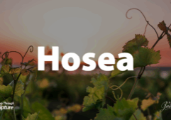 A journey through Hosea shows us a picture of redemption that reflects Christ's redemptive act of love on the cross.