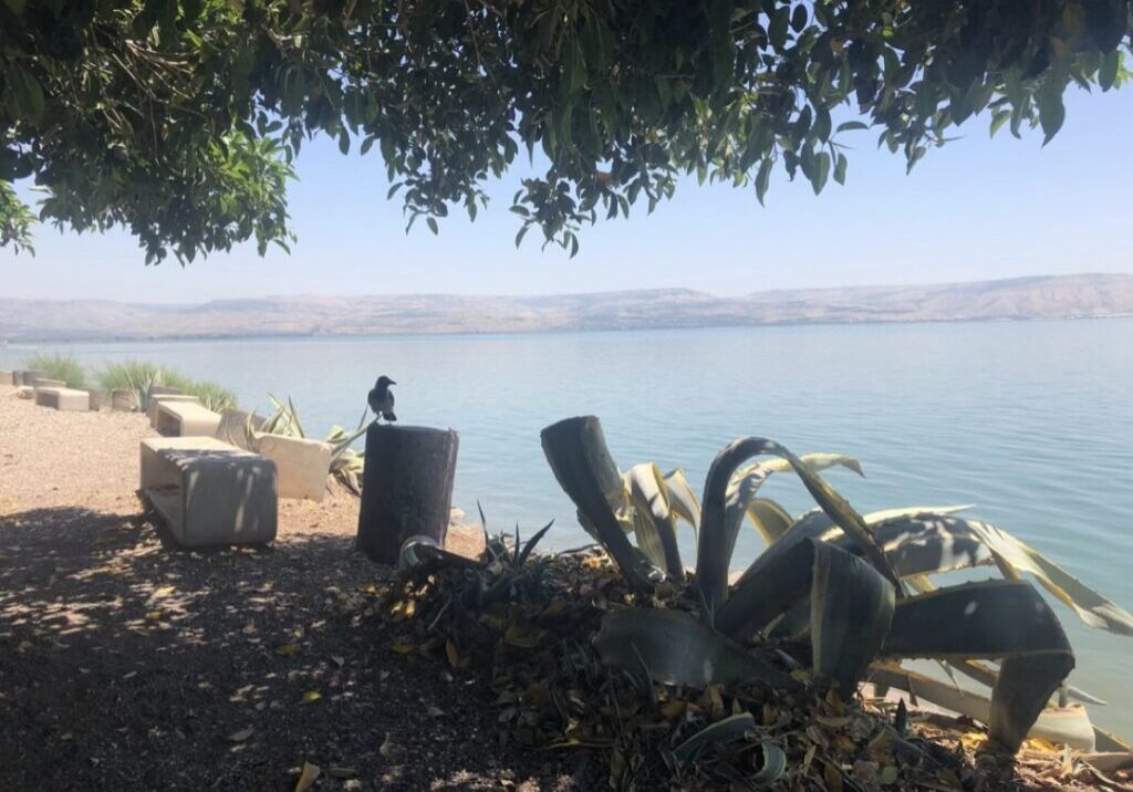 The Sea of Galilee viewed from the ancient fishing town of Capernaum. Capernaum is also home to an ancient synagogue that may date to the time of Jesus. Photo by John Buckner