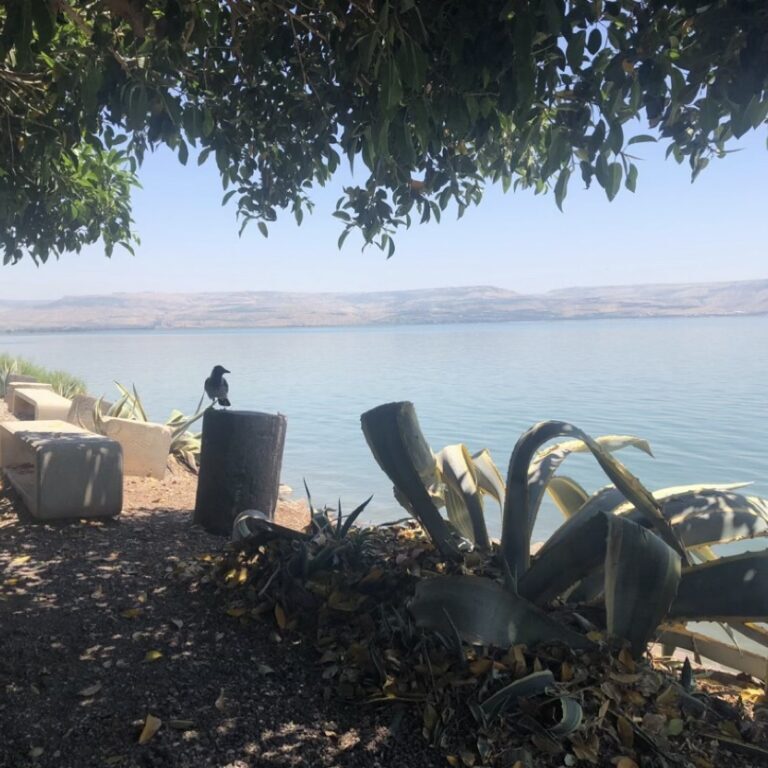 The Sea of Galilee viewed from the ancient fishing town of Capernaum. Capernaum is also home to an ancient synagogue that may date to the time of Jesus. Photo by John Buckner