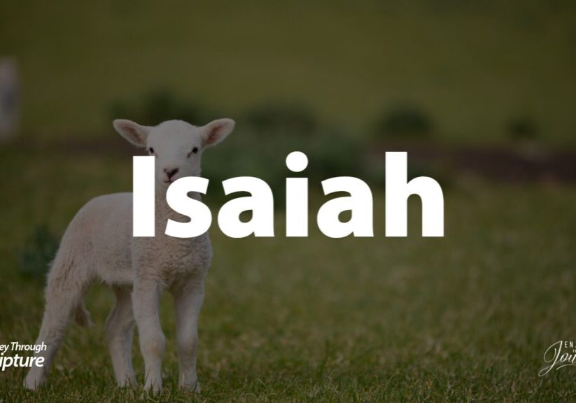 A journey through Isaiah shows us the problem of sin and God's judgment, and the promise of hope in the messiah, the Lord Jesus Christ. This picture of the lamb links to an article about the Book of Isaiah in the Bible because Christ is described as a Lamb in Isaiah 53, which is just one of any propheceis Chirst fulfilled from the prophet Isaiah.