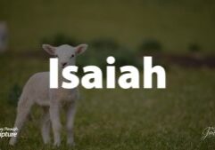 A journey through Isaiah shows us the problem of sin and God's judgment, and the promise of hope in the messiah, the Lord Jesus Christ. This picture of the lamb links to an article about the Book of Isaiah in the Bible because Christ is described as a Lamb in Isaiah 53, which is just one of any propheceis Chirst fulfilled from the prophet Isaiah.