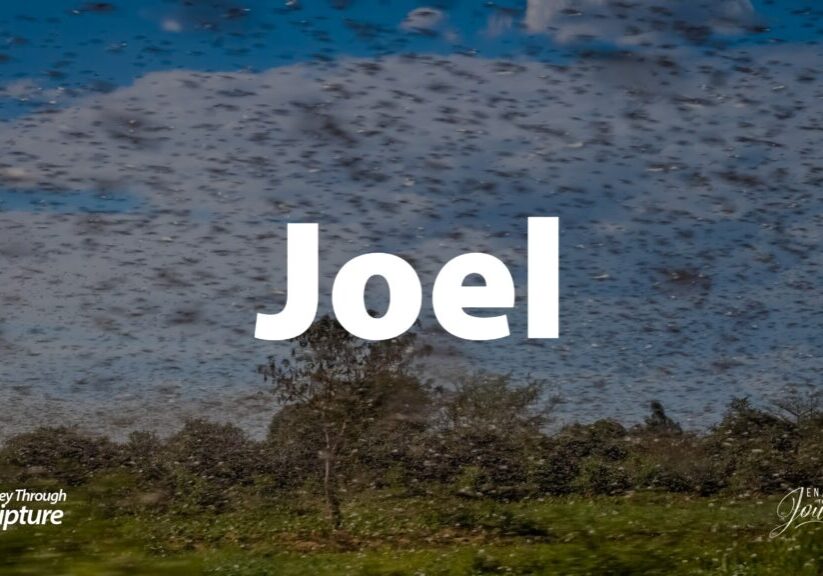 Joel-Slides