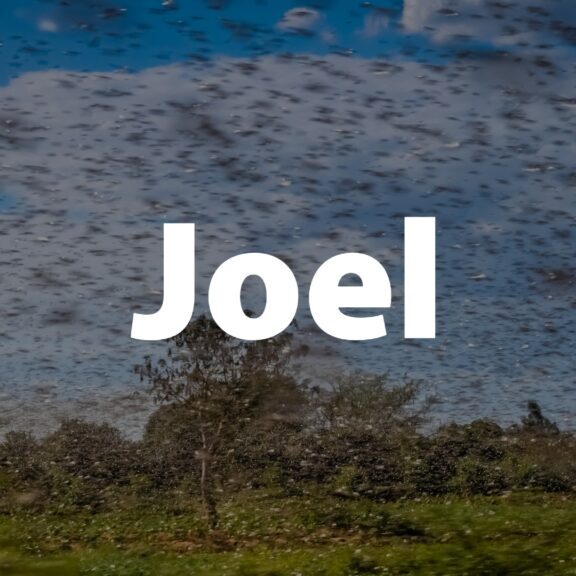 Joel-Slides