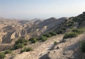 The hillside to the left in the biblical Valley of Achor shows many examples of magal. These paths are often used by ibex and antelope as well as sheep.
In such areas the sparse rain that falls in the winter is not enough to erase the paths.
Photo by John Buckner
