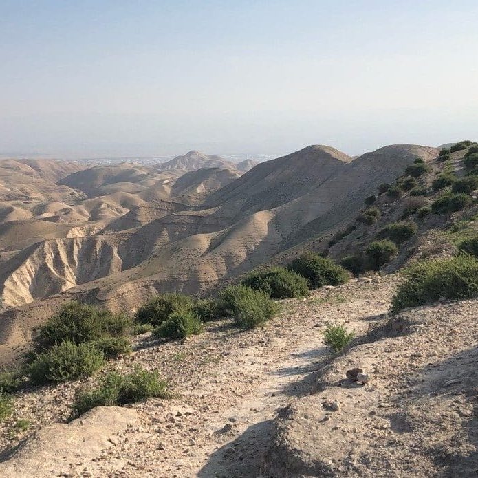The hillside to the left in the biblical Valley of Achor shows many examples of magal. These paths are often used by ibex and antelope as well as sheep.
In such areas the sparse rain that falls in the winter is not enough to erase the paths.
Photo by John Buckner