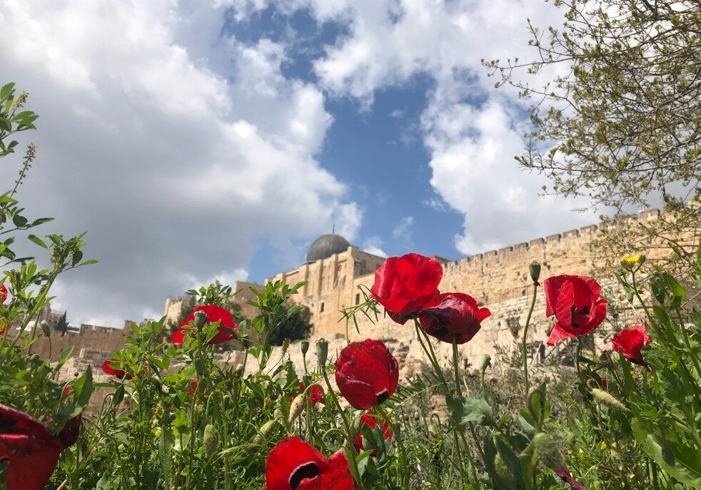 “The voice said, Cry. And he said, What shall I cry? All flesh is grass, and all the goodliness thereof is as the flower of the field: The grass withereth, the flower fadeth: because the spirit of the Lord bloweth upon it: surely the people is grass. The grass withereth, the flower fadeth: but the word of our God shall stand for ever.” Isaiah 40:6-8