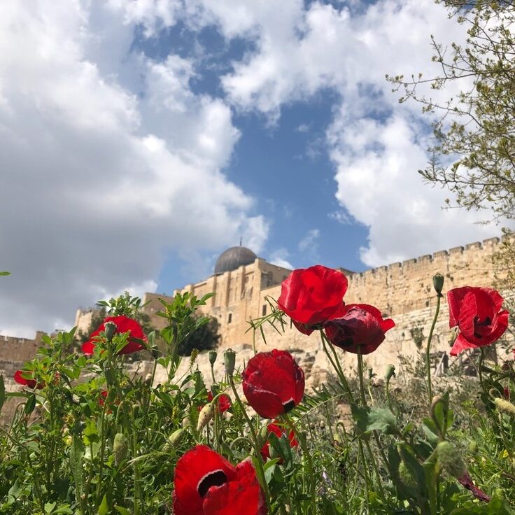 “The voice said, Cry. And he said, What shall I cry? All flesh is grass, and all the goodliness thereof is as the flower of the field: The grass withereth, the flower fadeth: because the spirit of the Lord bloweth upon it: surely the people is grass. The grass withereth, the flower fadeth: but the word of our God shall stand for ever.” Isaiah 40:6-8