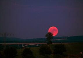 Prophecies, Speculation, and the End Times. Here are three simple guidelines I have tried to follow as I read about end-time predictions.