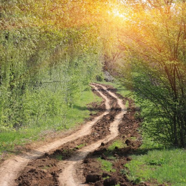 Your Habits: Routine or Rut? Break the routine that has become a rut. Build routines that will keep you on the highway of holiness and the pathway of wisdom.