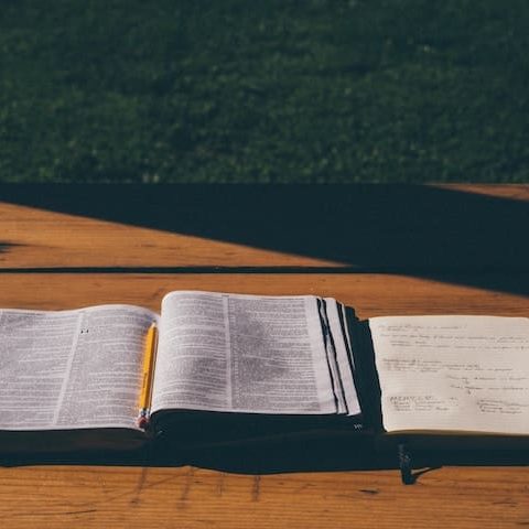 aaron-burden-36113-unsplash