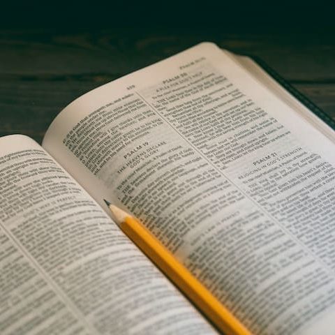 aaron-burden-534684-unsplash