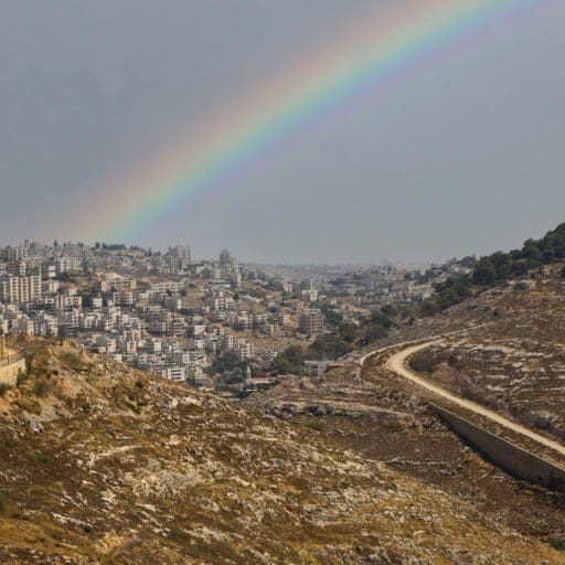 ami-tesler-0dh5CEYaNGw-unsplash-768x512