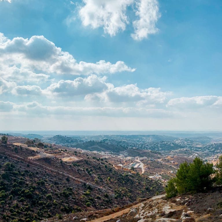 amr-albeeb-bxDLRIYFaQY-unsplash