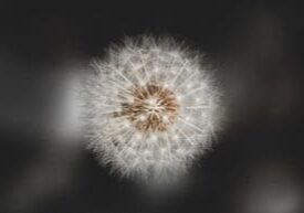 how sensitive are you