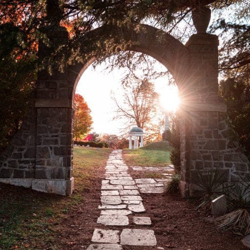 ayanna-johnson-m_bTJXS7JfM-unsplash-768x512